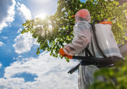 The Role of Professional Pest Control in Outdoor Maintenance
