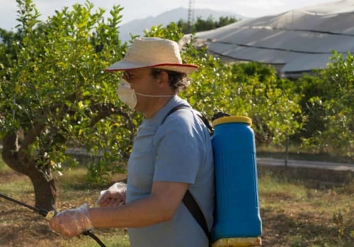 How long after spraying insecticide is it safe?